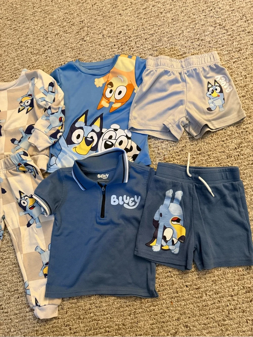 Bluey 2T Lot